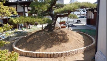 和泉市内
庭石工事
2022年4月